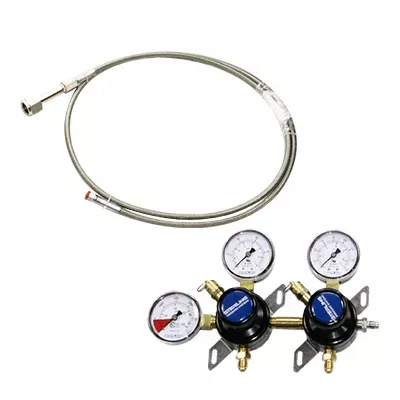 2P2P Primary Soda Regulator 6' SS