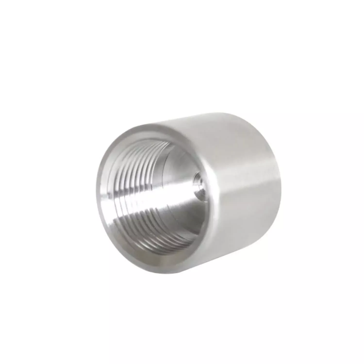 Stainless Steel Threaded Conduit Caps | Type 316